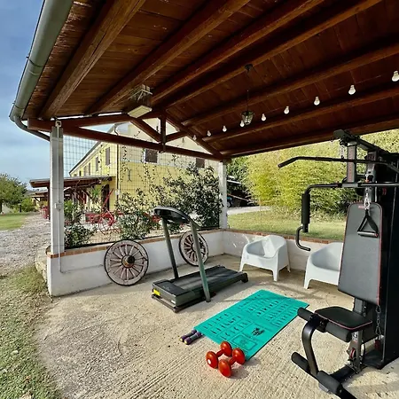 In House - Historic House With Swimming Pool, Barbecue, Gym In - The Girasole