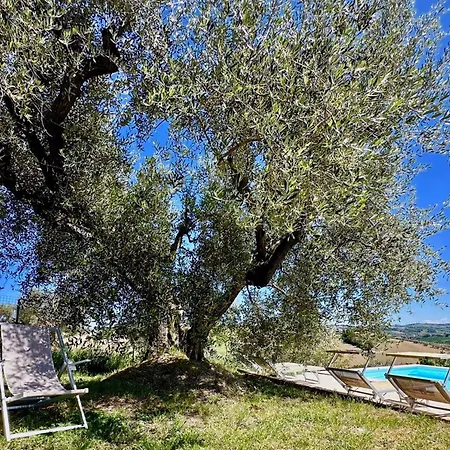 The Girasole In Historic With Pool In Maison d'hôtes Senigallia