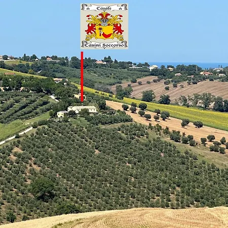 In House - Historic House With Swimming Pool, Barbecue, Gym In - The Girasole *